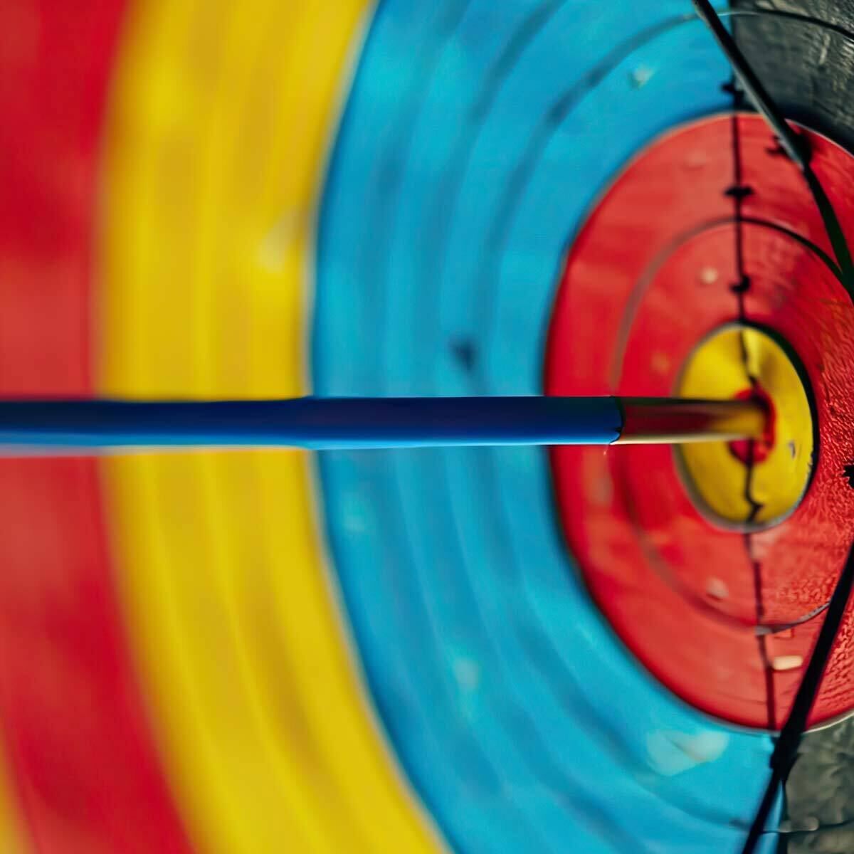 Arrow Hitting the Bullseye